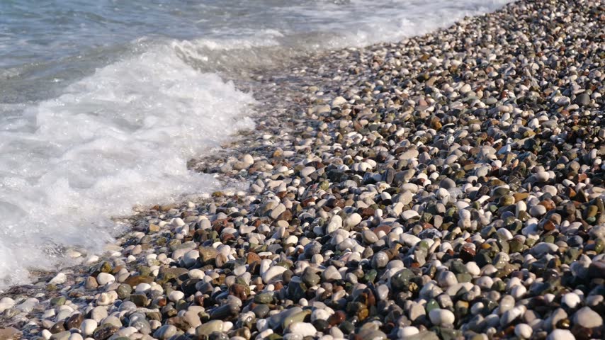 Coastal scene featuring pebbles and shells along the shoreline, with waves lapping gently against the beach under a clear blue sky