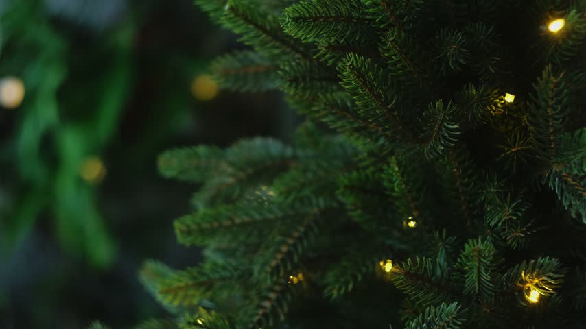 Woman decorating Christmas tree with golden Christmas ball.