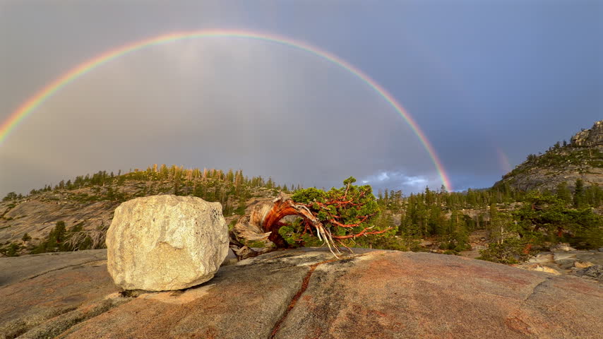 A bright rainbow arcs above sunlit granite, pines and weathered wood at Olmsted Point in Yosemite National Park, Sierra Nevada, California, United States.