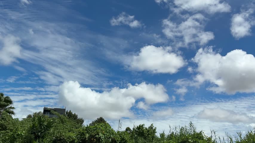 Beautiful blue sky with fluffy white clouds moving above green treetops and wild grass swaying in the wind.