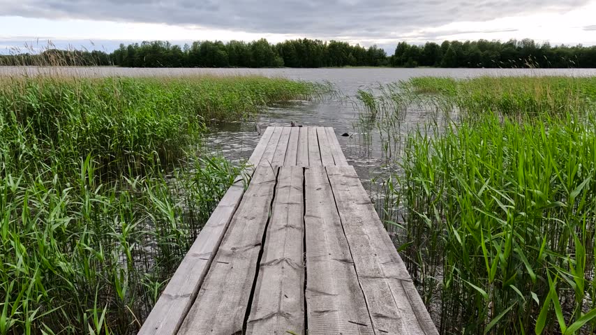 A weathered wooden boardwalk stretches across a lakeshore toward the water, surrounded by tall green reeds. Dark textured clouds fill most of the sky, with a thin strip of blue visible.