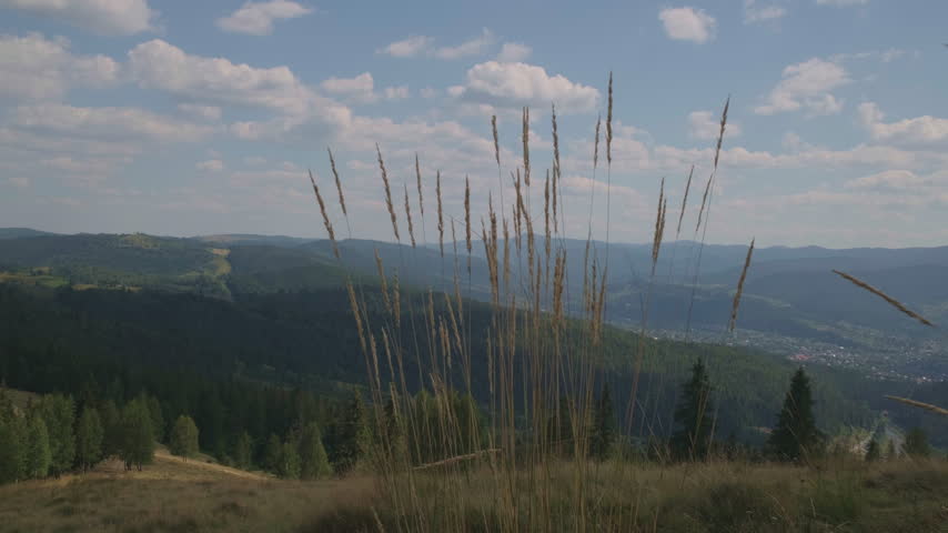 Scenic Mountain Landscape with Tall Dry Grass in Foreground