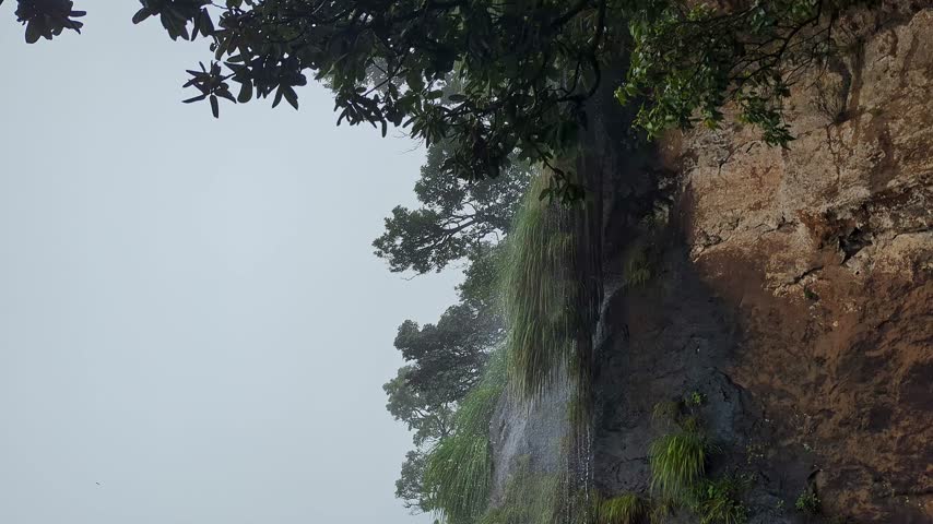 A breathtaking upward view of a misty mountain ridge, beautifully framed by tall, dense trees alongside a serene cascading small waterfall