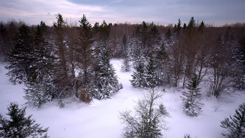 Drone view of a quiet road winding through a snowy Northern Michigan landscape
