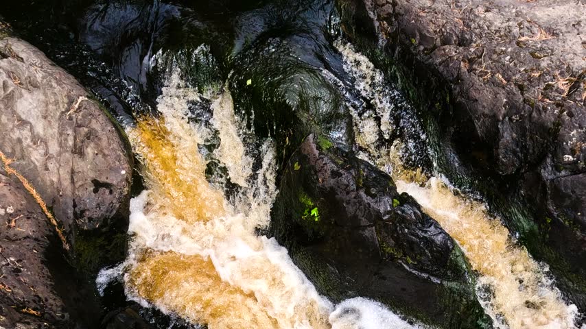 A dynamic waterfall cascades down from moss-covered rocks, forming a white foam, and flows through a lush green forest. Ferns and shrubs give the landscape a vibrant and untouched natural beauty.