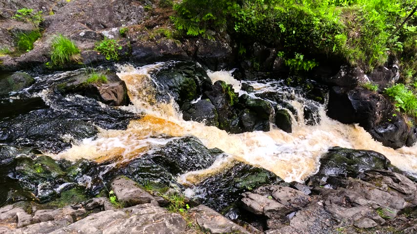 A dynamic waterfall cascades down from moss-covered rocks, forming a white foam, and flows through a lush green forest. Ferns and shrubs give the landscape a vibrant and untouched natural beauty.