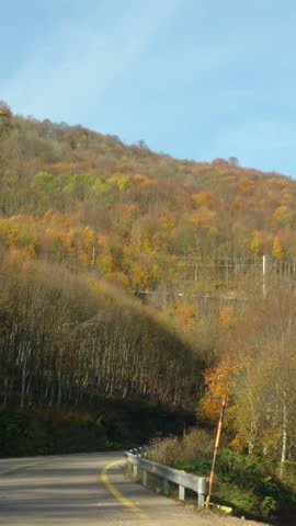 A winding asphalt mountain road leading to Kuzuyayla Nature Park, surrounded by autumn leaves and colorful trees.