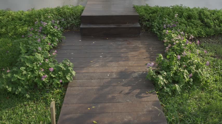 Thick fog rolls across a tranquil garden stream beneath a timber walkway. The humid environment nourishes the surrounding vibrant greenery.