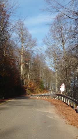 A winding asphalt mountain road leading to Kuzuyayla Nature Park, surrounded by autumn leaves and colorful trees.