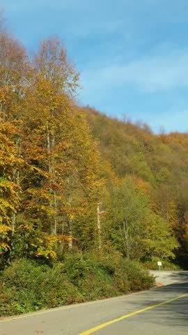 A winding asphalt mountain road leading to Kuzuyayla Nature Park, surrounded by autumn leaves and colorful trees.