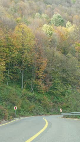 A winding asphalt mountain road leading to Kuzuyayla Nature Park, surrounded by autumn leaves and colorful trees.