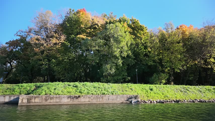 Timelapse Trees with yellow and orange leaves grow along the edge of a river. The sky is clear with no clouds. The scene shows the change of seasons in a park.