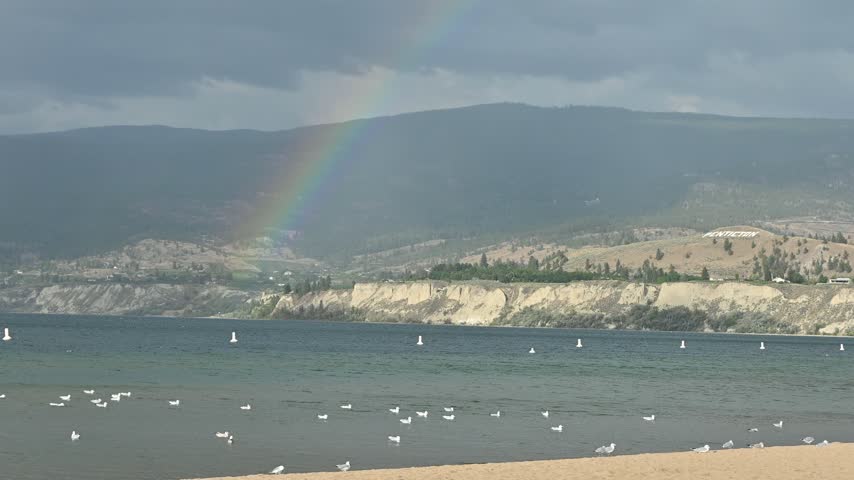 Static shot of a rainbow arching over Okanagan Lake with seagulls on the shore and hills behind in Penticton, British Columbia.