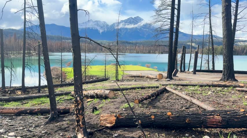 Handheld shot of charred forest along Mildred Lake in Jasper National Park, showing wildfire aftermath with the lake and mountains behind.