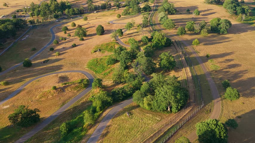 Paved trail winds through golden fields with scattered trees during the quiet sunset hours in a rural landscape. Sunlight casts long shadows across the dry grass as the path curves through the park.