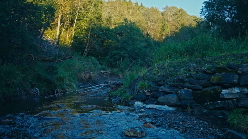 Rocky Riverbed Next To A Stone Embankment Built In A Dense Sunlit Forest. - aerial shot