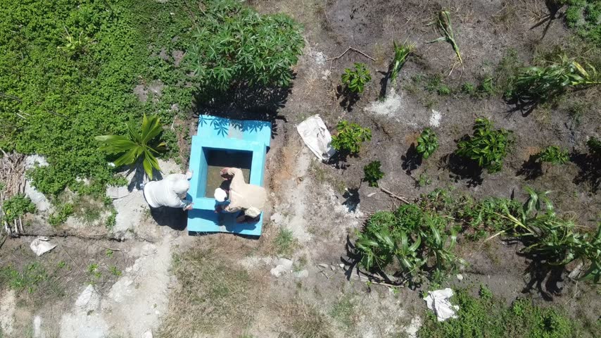 Aerial Footage of Lush Green Vegetation and Small Rural Hut