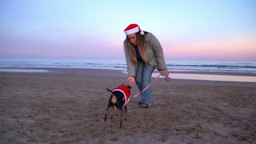 Woman playing with dog on beach during Christmas holidays
