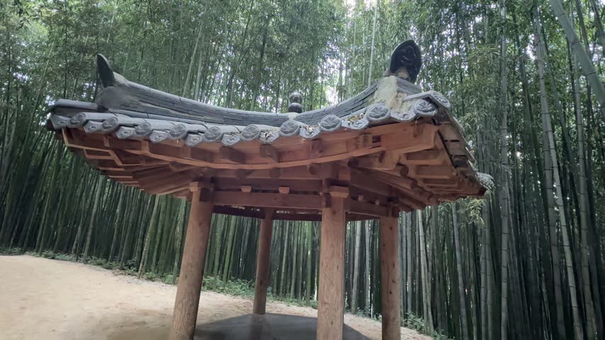 Traditional Korean Wooden House Surrounded by Bamboo Forest

Video footage captured from a low angle showing a traditional Korean wooden house with a curved tiled roof surrounded by towering bamboo trees in a dense forest.