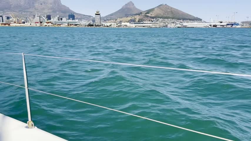 Table Mountain, Lion