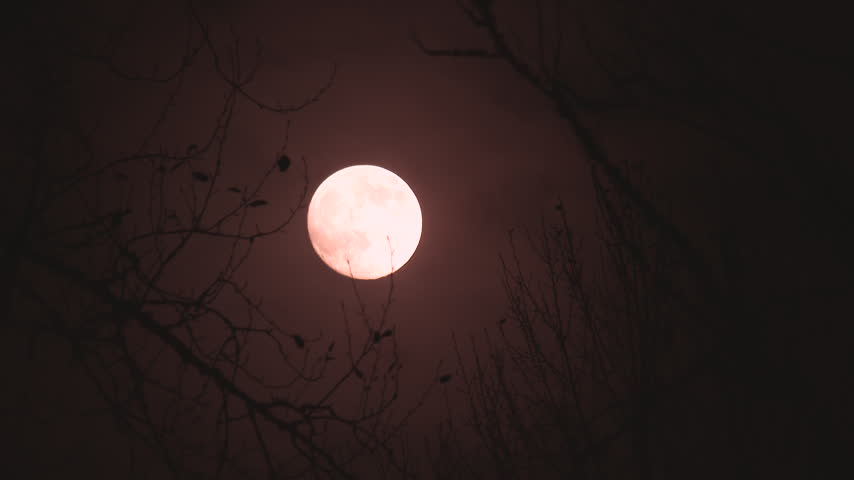 Spooky red night sky with clouds passing bright full moon shining behind eerie trees and dead branches.