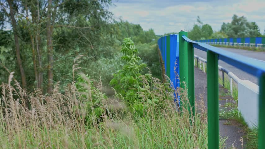 Wildflower meadow with dry grasses and young trees behind colorful metal fence structure. Byten, Belarus.