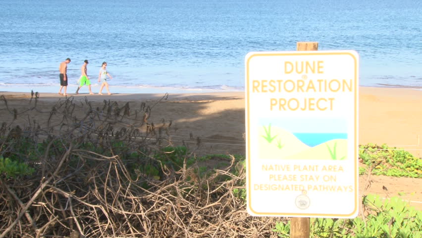 Sign reading dune restoration project on sandy beach on Maui, Hawaii.