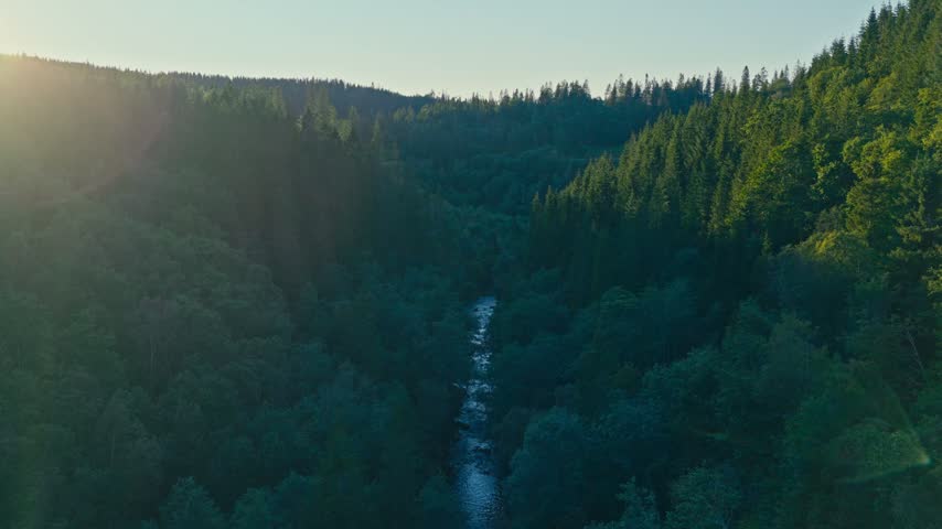 River Flows Through A Deep Forested Valley With Warm Sunlight Flare Glowing Over The Forest Canopy. - aerial shot