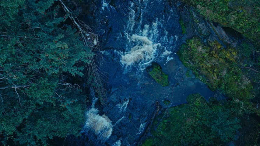 Whitewater Rapids Flowing Over Dark Rocks In A Dense Woodland Environment. - aerial shot