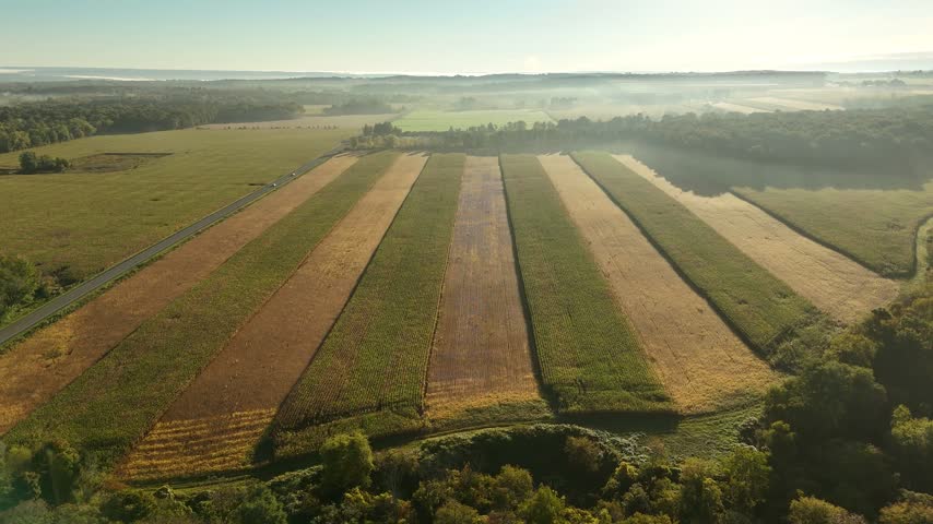 Pushing drone shot of a crop field in Upstate New York near Ithaca and Trumansburg in the Finger Lakes region.