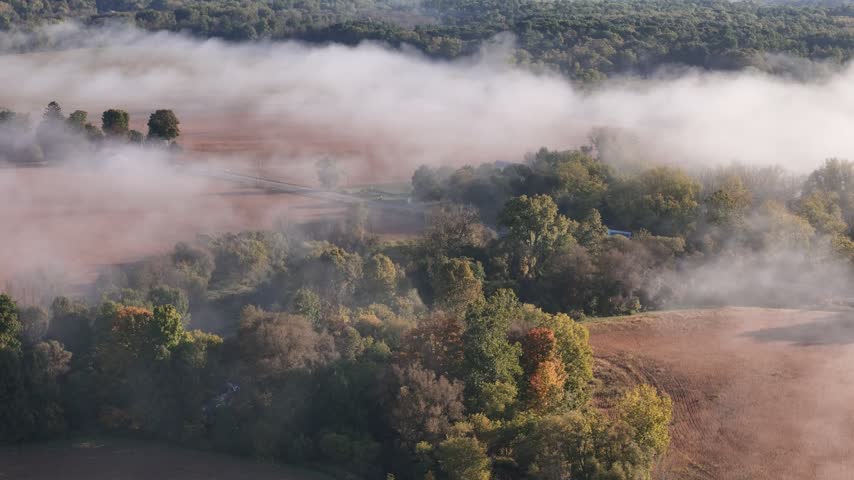 Morning fog over farmers fields and tree tops.