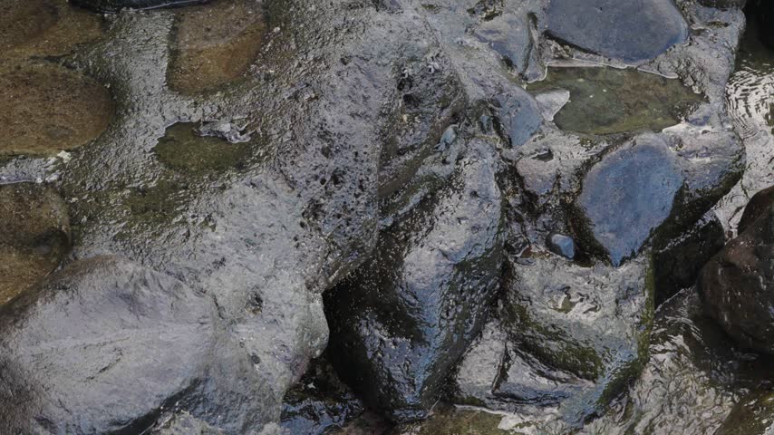 Strong ocean currents push waves against a rocky coastline, creating splashes and mist while small black crabs move cautiously, timing their steps between each wave impact.
