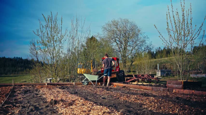 Man Pushes A Wheelbarrow Loaded With Woodchips Across Garden Beds On A Countryside. - wide shot