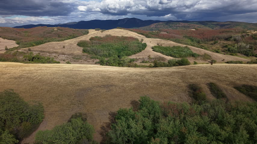 An aerial landscape view captures expansive golden meadows and rolling hills beneath a moody, dramatic sky filled with heavy clouds.