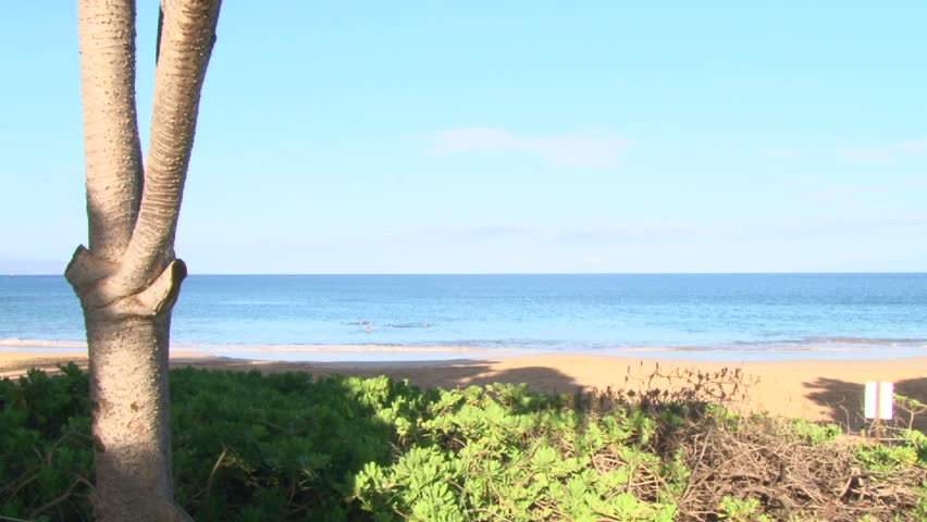 Camera panning shot with waves crashing on sandy beach on Maui, Hawaii.