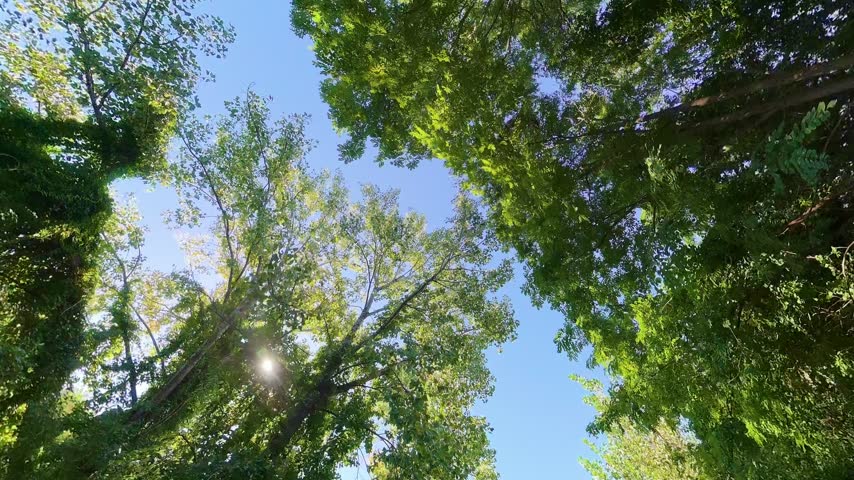 A peaceful walk under the Belt Parkway spanning a creek in Jamaica Bay. The camera tilted up, dolly in, tilt down towards the banks of the creek under the roadway on a sunny day.