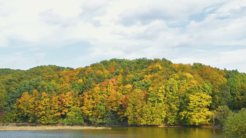Colorful trees change their leaves from green to shades of yellow, orange, and red along the water