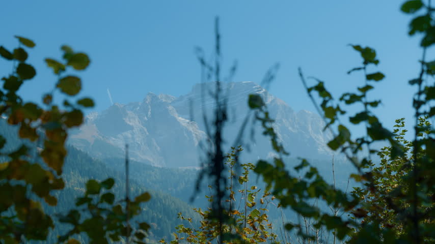 Mountain peak sky forest leaves in an alpine wilderness landscape. Handheld pan shot looking through green branches towards the rocky summits under a clear blue day.