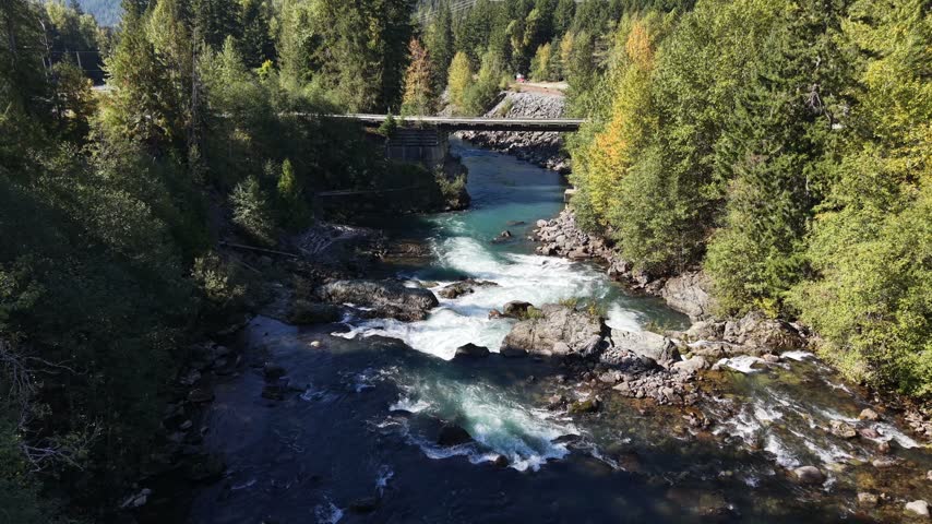 Angled aerial hold looking across a river with white water rapids flowing past a bridge surrounded by autumn colored deciduous and coniferous trees on both banks, Squamish, British Columbia, Canada.