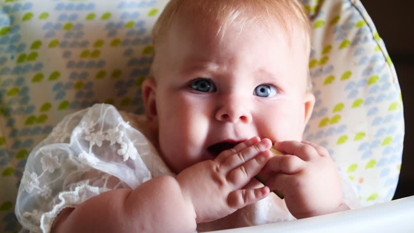Cute Baby Girl Sits In A High Chair, Eating Fresh Cucumber Slice. Innocent Infant Exploring Solid Foods, Self-Feeding, And Developing Fine Motor Skills At Home