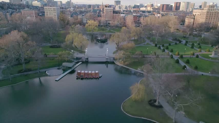 A beautiful high-angle panoramic drone shot looking over the calm lagoon of the Boston Public Garden in Boston, Massachusetts. The footage highlights a fleet of famous historic Swan Boats moored together in the foreground, the iconic suspension footbridge spanning the water, and historic brownstone architecture lining the city streets in the background under a soft morning sky.
