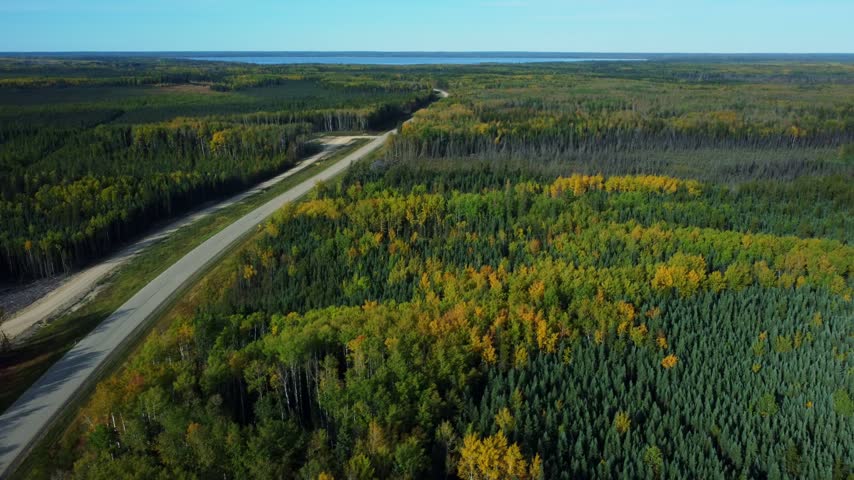 Remote highway leading to a lake with dense forest on both sides during fall