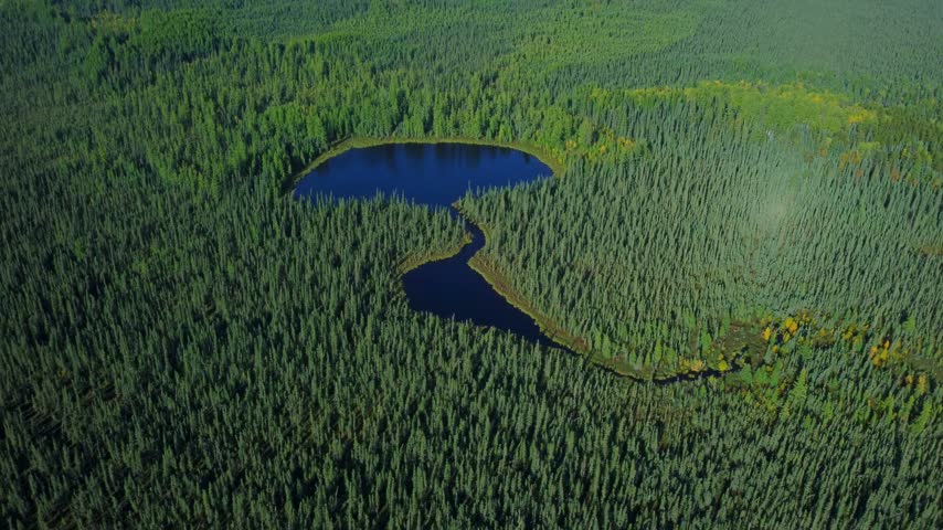 Remote lake in the middle of an endless forest in Canada