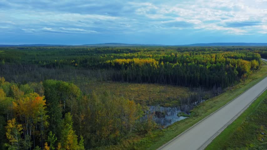 Curving highway beside a fall forest with yellow and green trees