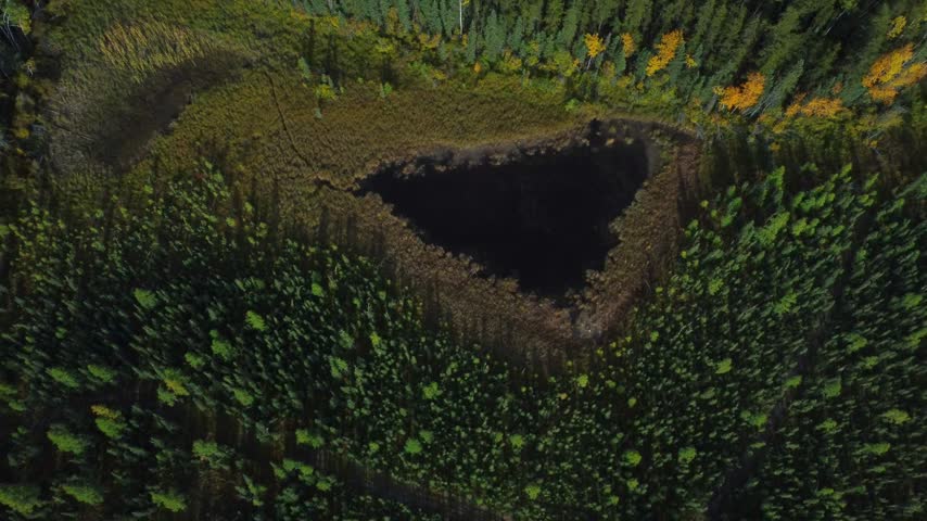 Aerial shot of a triangular hidden lake in the Alberta forest