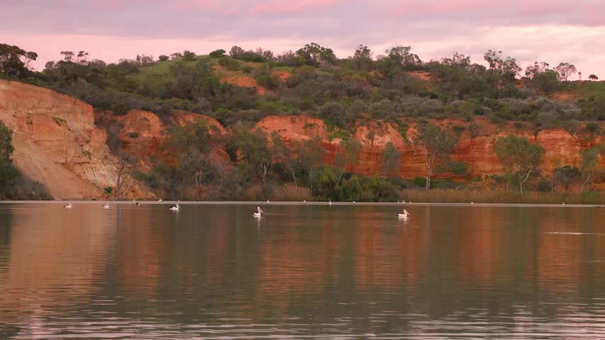 Outdoor adventure travel on the River Murray as people enjoy canoeing in nature at sunset. Calm water reflecting the red cliffs and morning sky with pelicans feeding