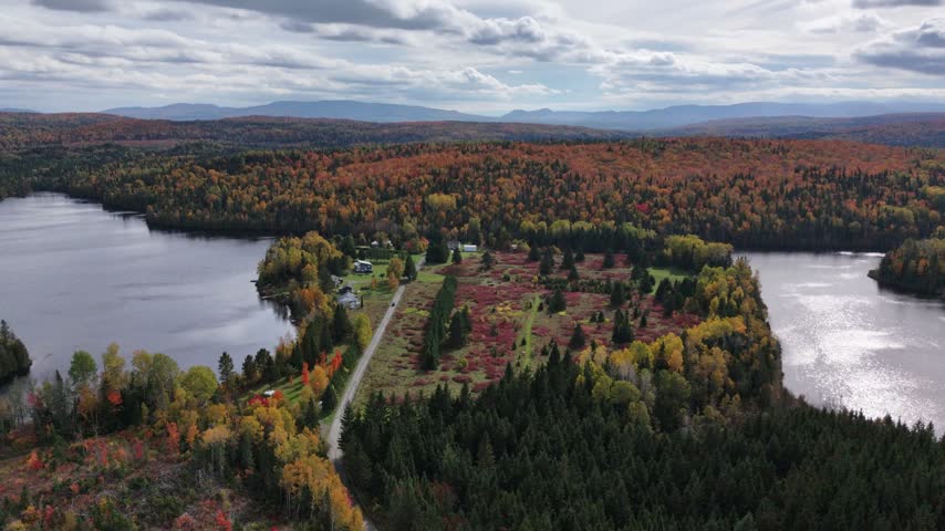 Drone footage over a small estate nestled between two lakes in vibrant autumn boreal forest, with the Appalachian Mountains visible in the distance beneath a cloudy sky at Lake Arthur, Quebec.