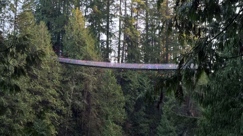 The Capilano Suspension Bridge covered in colorful Christmas lights across a canyon in Vancouver, glowing bridge surrounded by tall evergreen forest trees.
