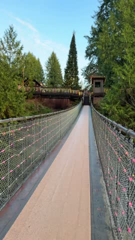 Suspension bridge with Christmas lights leading to a tall lit holiday tree at Capilano Suspension Bridge Park in Vancouver, festive forest scene at dusk.