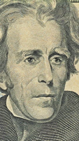 Andrew Jacksons U.S. dollar portrait glows as green light travels downward. Currency engraving moves between natural paper tones and bright green illumination.